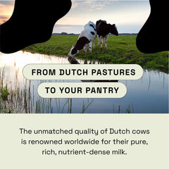 MOOVE grass-fed Dutch cows pasture highlighting natural source.