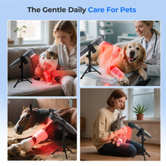 Morfone 650nm red LEDs provide broad surface coverage for wellness sessions.