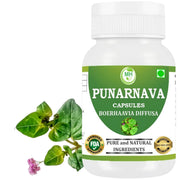 Morsan Healthcare Punarnava capsules bottle for daily wellness and gentle cleansing.