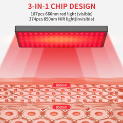 MOTAYU body therapy application with full-panel coverage for whole-area support