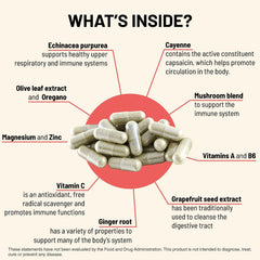 Mountain Peak Immuni-T ingredient lineup displayed with mushroom blend for immune balance.