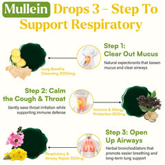 Muechaya Mullein Drops with elderberry and thyme for respiratory comfort.