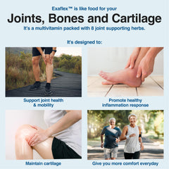 ExaFlex ingredients bundle with glucosamine, chondroitin, and botanicals