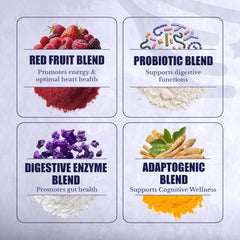 Nation Health MD Reds jar close-up showing vibrant powder blend for smoothies.