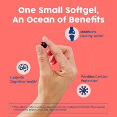 NativePath Antarctic Krill Oil 60-count bottle designed for daily routine