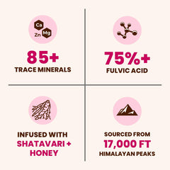Natruveda Shilajit honey stick packaging shows convenient 300 mg dose
