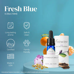 Natscent Fresh Blue diffuser room setup portrays a serene, inviting living space