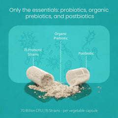 NaturaLife Labs Probiotics vegan capsules show plant-based gut-friendly nourishment.