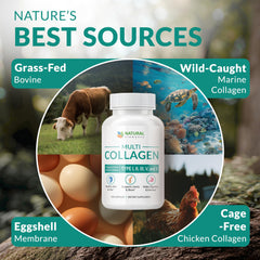 Natural Elements chicken bone broth collagen peptides provide protein support for daily activity.