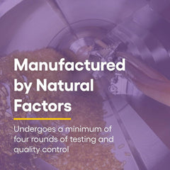 Natural Factors CoQ10 formula with rice bran oil for absorption