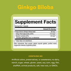Brain flow illustration suggesting improved circulation with HerbalFactors Ginkgo Biloba.