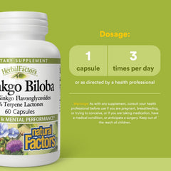 Close-up of HerbalFactors Ginkgo Biloba capsule coating for reliable delivery.