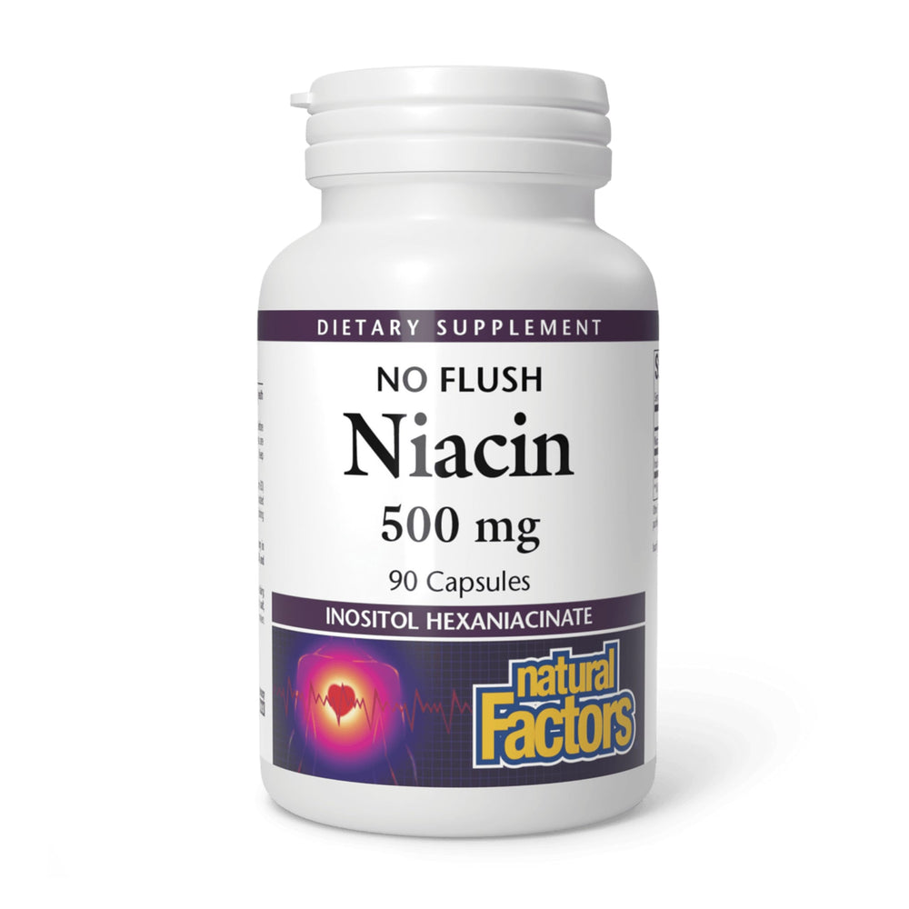 Natural Factors No Flush Niacin 500 mg bottle — promotes steady energy support.