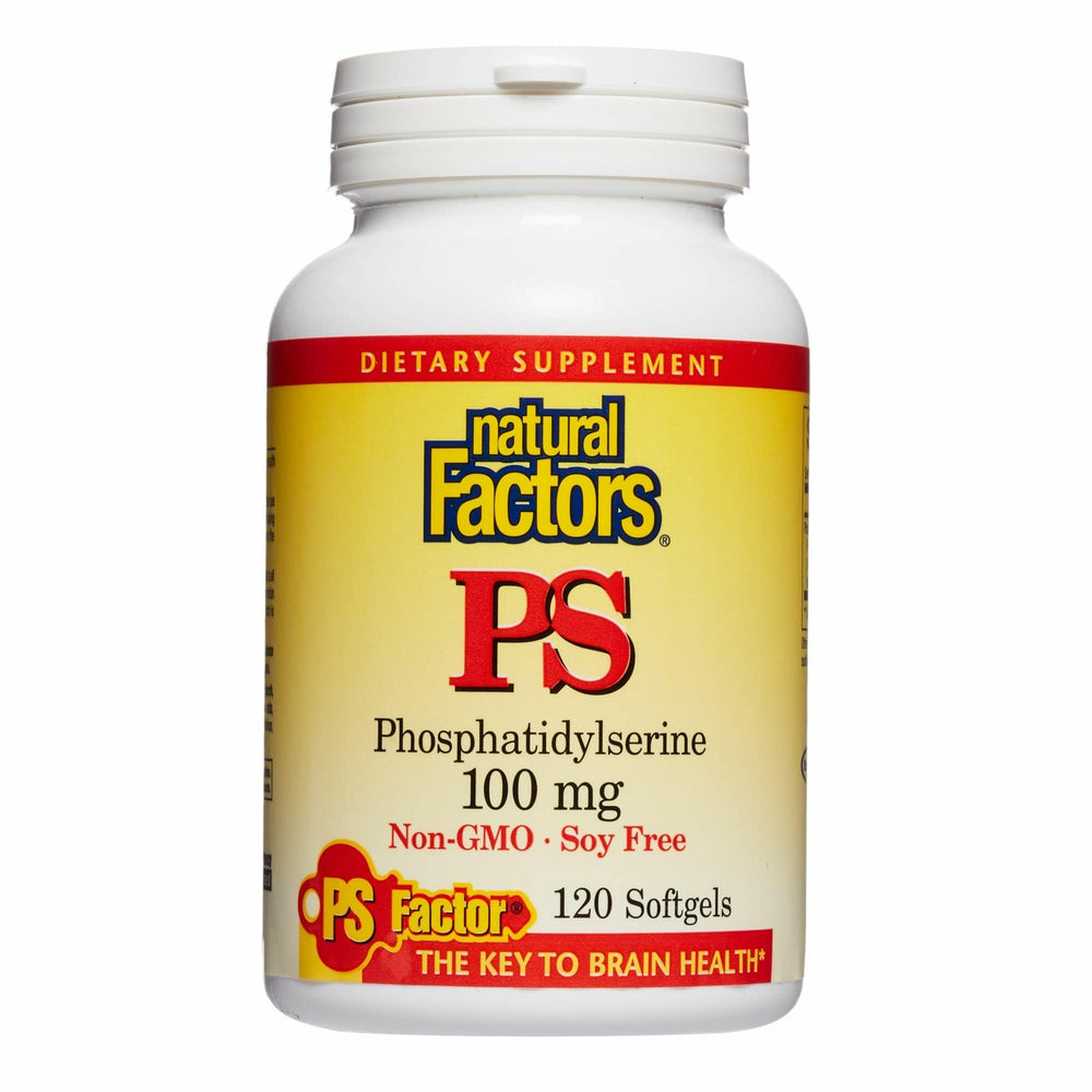 Natural Factors phosphatidylserine softgels bottle supports daily memory and focus.