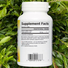 Natural Factors Quercetin Lipomicel Matrix bottle front ready for daily use