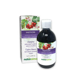 Naturalma Hawthorn tincture bottle front view, alcohol-free wellness support.