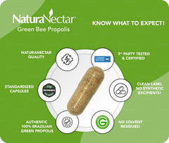 Capsules closeup reveal artepillin-C and flavonoids in a premium formula.