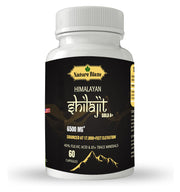 Nature Blaze Shilajit capsules bottle — convenient daily supplement.