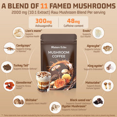 Nature Echo Ashwagandha and Cordyceps blend scene for stress-friendly energy.