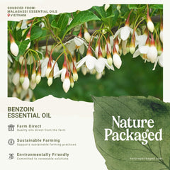 Nature Packaged Benzoin Oil dropper closeup shows pure formula for skincare.