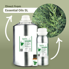 Nature Packaged Cypress needles-twigs highlighting harvest-quality ingredients.