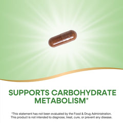 Nature's Way Cinnamon Extract packaging image indicating gluten-free formula