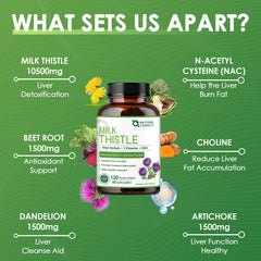 NATURE TARGET Milk Thistle with dandelion and beet ingredients spotlight.