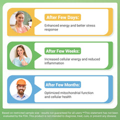 Nature Whisper NAD+ label close-up emphasizing the 6-in-1 formula and vegan capsules