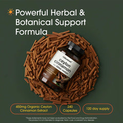 NatureBell Cinnamon capsules close up highlighting easy to swallow dose