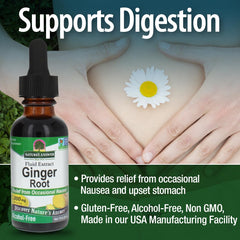 Nature's Answer ginger root extract amber bottle on shelf for easy daily use