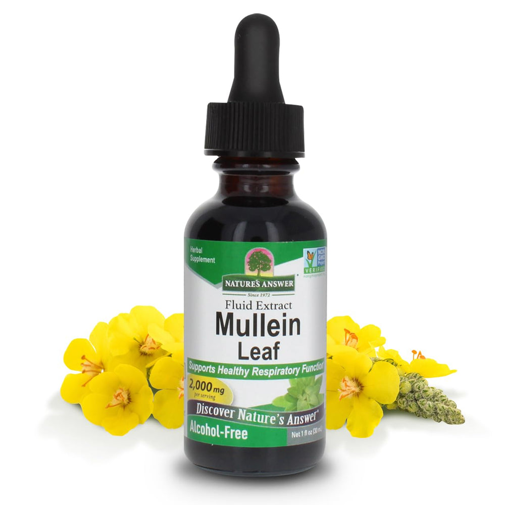Nature's Answer Mullein Leaf Extract bottle demonstrates alcohol-free lung support.