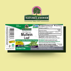 Nature's Answer Mullein Leaf Extract dropper highlights concentrated dosage.