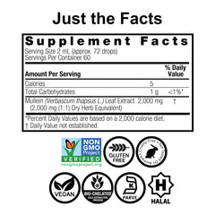 Nature’s Answer Mullein Leaf Extract label close-up highlighting alcohol-free herbal blend