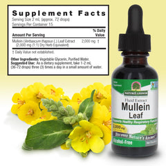 Nature's Answer Mullein Leaf Extract label shows non-GMO and kosher attributes.