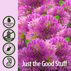 USA-made Nature's Answer red clover extract packaging on a clean surface