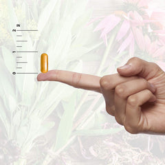Bio-Chelation technology graphic illustrating advanced botanical quality control