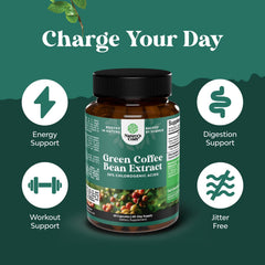 Close-up shows chlorogenic-rich extract with natural antioxidants from Natures Craft.