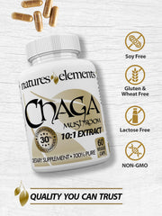 Natures Elements Chaga Mushroom bottle back label with ingredients.