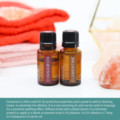 Nature's Fusions Cinnamon Bark diffuser setup for a warm, inviting scent