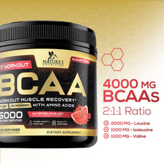 Sugar-free label on Nature's Nutrition Muscle Recovery signals clean post-workout option