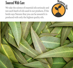 Natures-Star eucalyptus oil 32oz pack highlight for bulk value