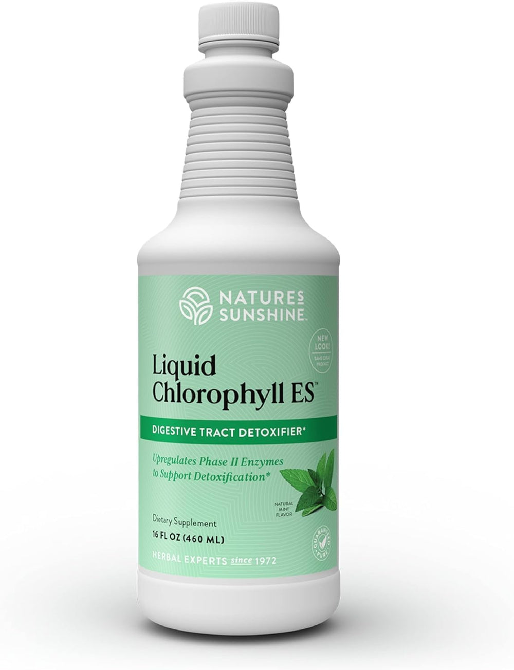 Nature's Sunshine Liquid Chlorophyll bottle closeup for detox and vitality.