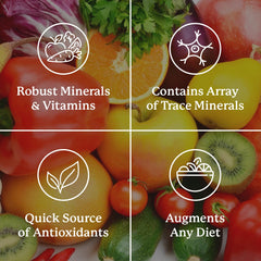 Nature's Sunshine Super Supplemental ingredients chart with plant-based nutrients.