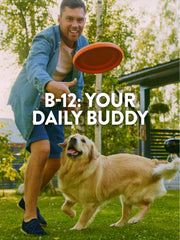 Nature's Truth B12 with Folic Acid signals a complete B‑vitamin option