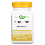Nature's Way Choline 500mg bottle for daily brain-support use