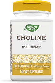 Nature's Way Choline bottle 500 mg, ideal for daily brain support.