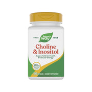 Nature's Way Choline & Inositol bottle front view with potential daily brain support