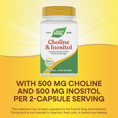Nature's Way Choline & Inositol serving pair shows two-capsule daily use