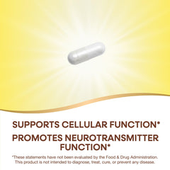 Nature's Way Inositol cap serving highlights phospholipid precursor benefits.