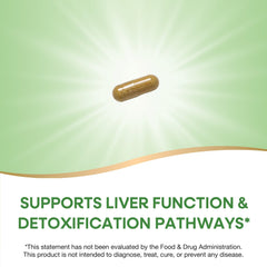Nature's Way Milk Thistle seed extract 80% silymarin highlights potency.